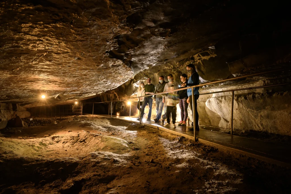 Aillwee Cave | Source: ailweeburrenexperience.ie
