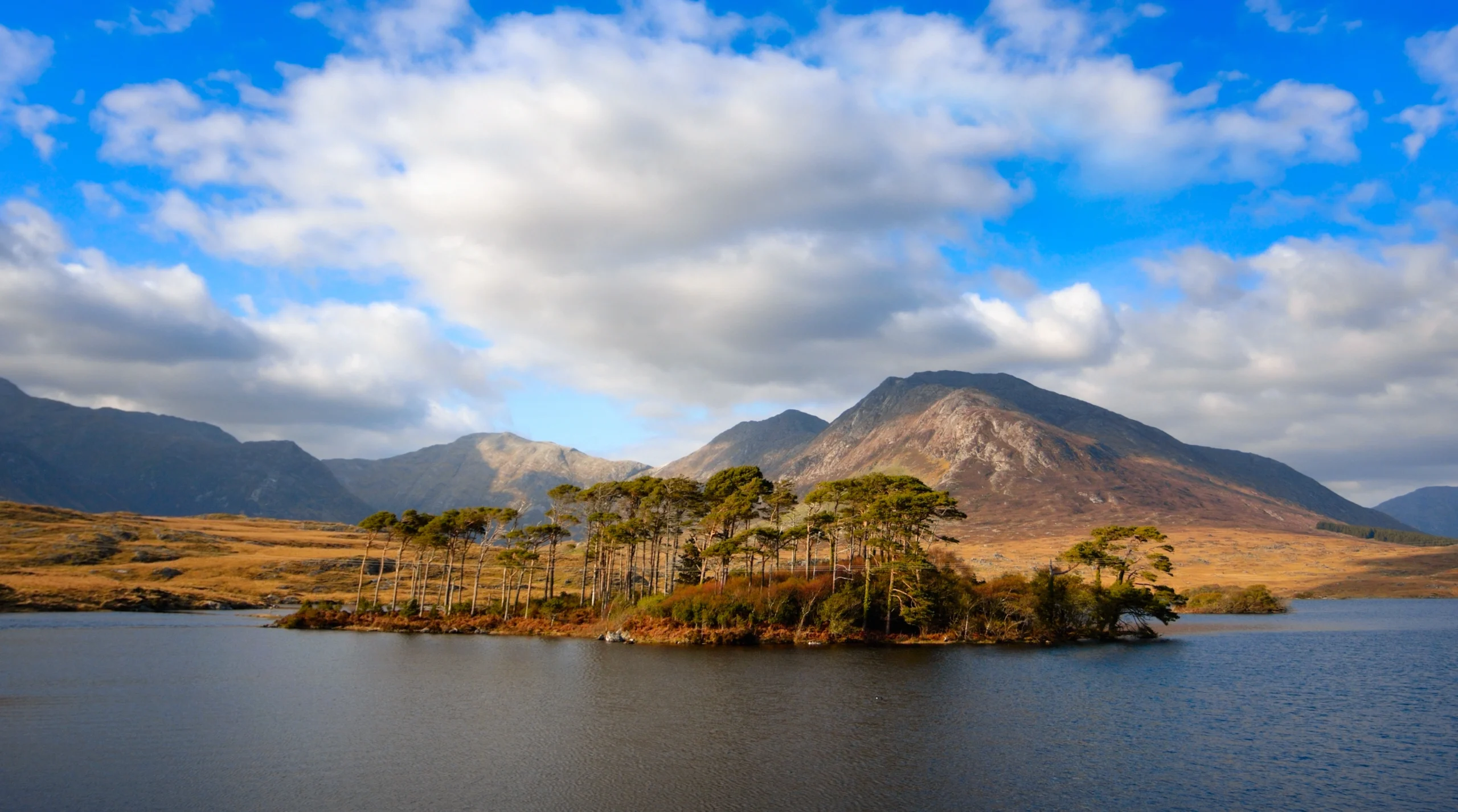 Connemara holiday homes, landscape with mountains and sky reflected in lake, Ireland