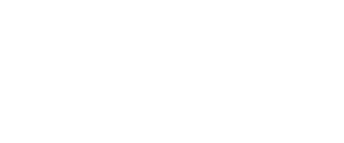 Holidu Logo