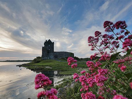 View of Dunguaire Castle beside Kinvara and near the Burren Galway © Chaosheng Zhang.jpg