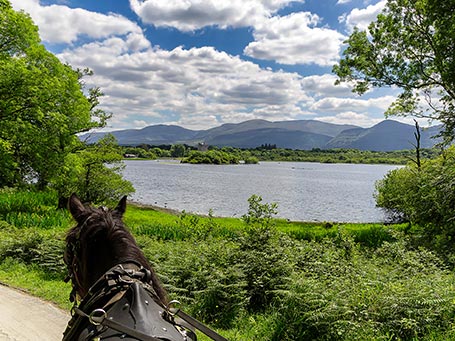 Horse Drawn Carriage, Killarney National Park, Kerry, Ireland