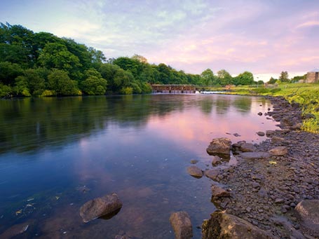 Evening on the Shannon River, Shannon Estuary, County Limerick, Ireland