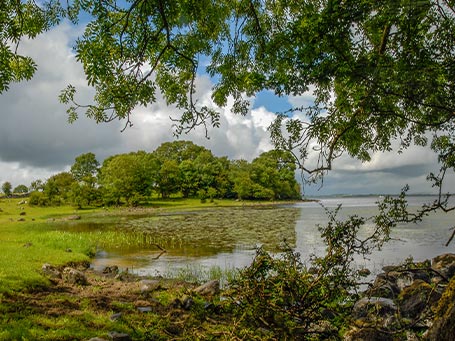 Calming trees scenery - safe Harbour, Lough Ree in County Roscommon, Ireland