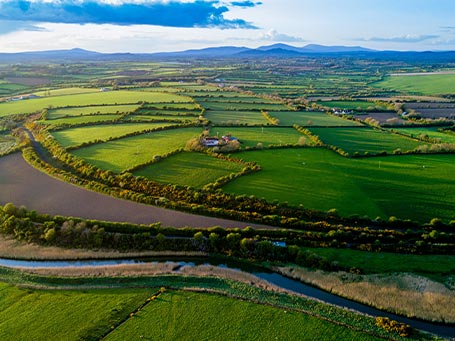 Rural Farmland, County Wexford, Ireland