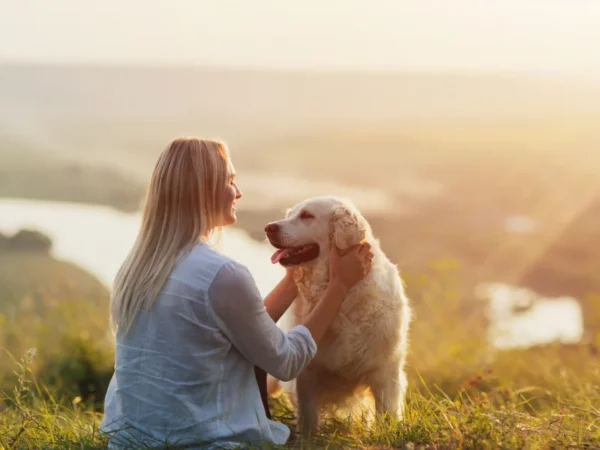 Dog Friendly Holidays in Ireland, a lady enjoying a holiday with her Golden Retriever on a sunset walk © Adobe Stock