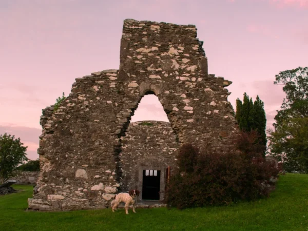 Self Catering Holiday Homes in Athy, Co. Kildare | Guide