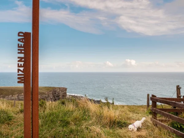 Dog walking at Mizen Head metal sign with the Atlantic Ocean and blue cloudy sky in the background in West Cork © Adobe Ireland