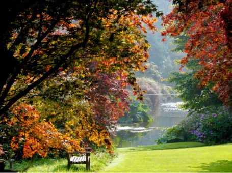 Autumn Scenery - scenic valley in Aughrim, County Wicklow, Ireland