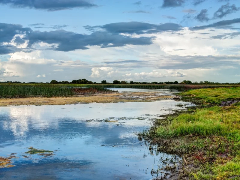 Shannon river landscape, County Offaly, Ireland