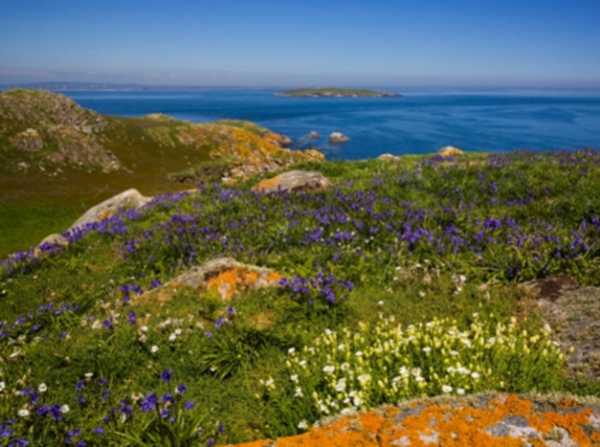 Coastal Holiday Homes in County Wexford