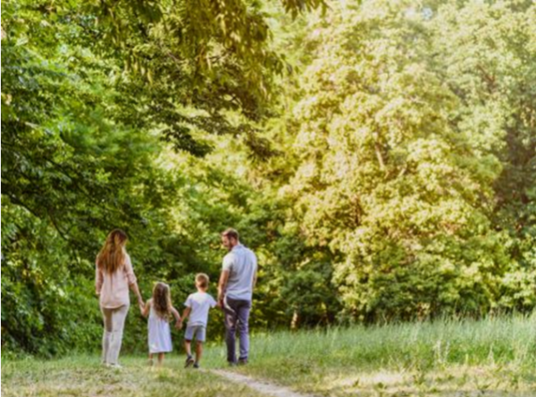 Family walk in the forest, family-friendly holiday homes in County Offaly, Ireland.