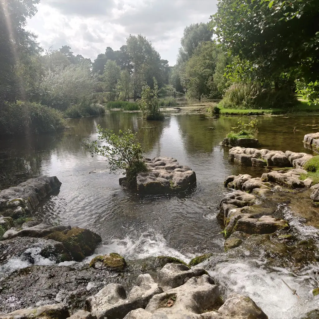 Grounds, Irish National Stud and Gardens, County Kildare, ireland