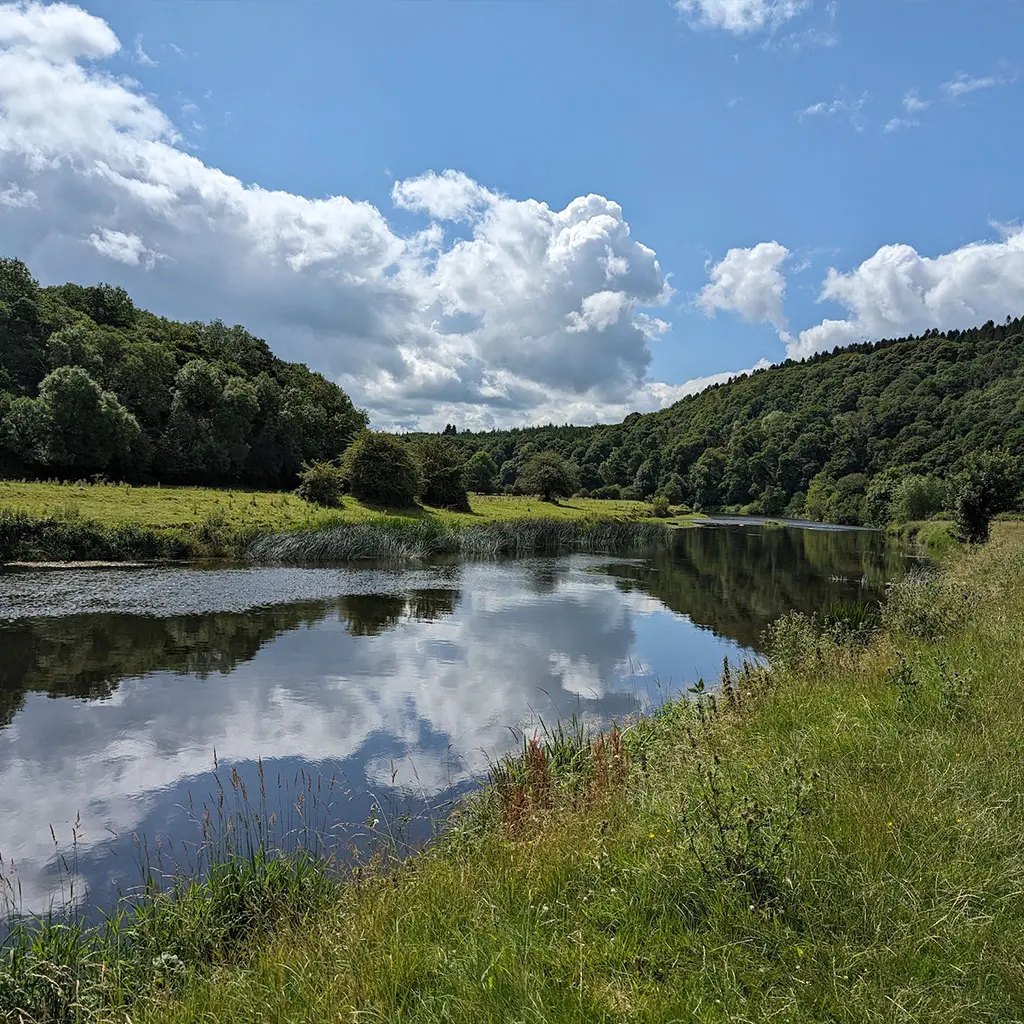 Grennan, Looped Walk, Thomastown, County Kilkenny, Ireland