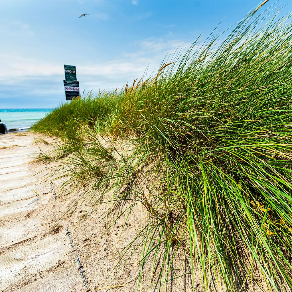 Wooden pathway marks the access to Kilmore beach, County Wexford, Ireland