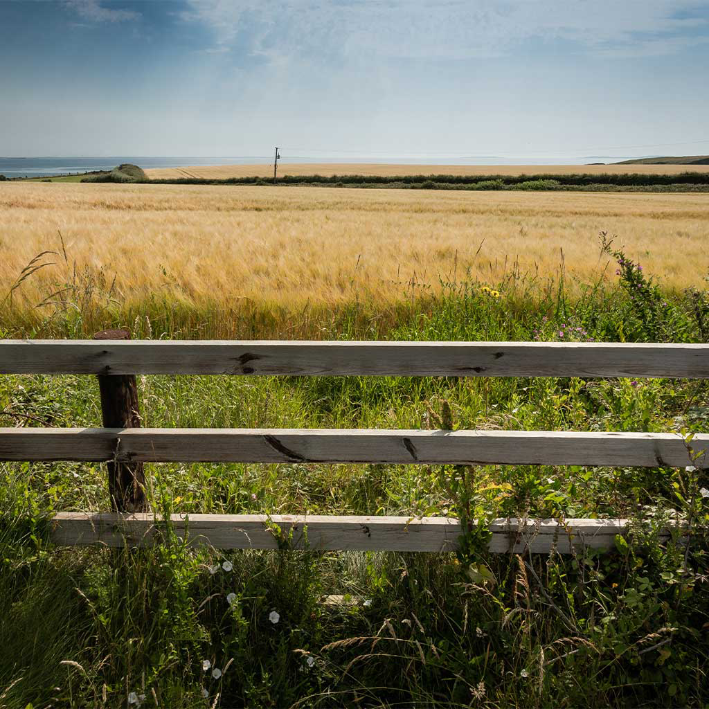 Farming field - a rural Irish landscape in County Wexford, Ireland