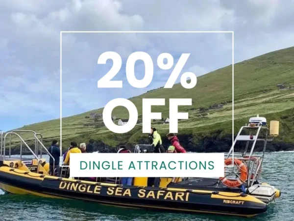 Dingle Sea Safari | Top Tourist Attraction in Kerry