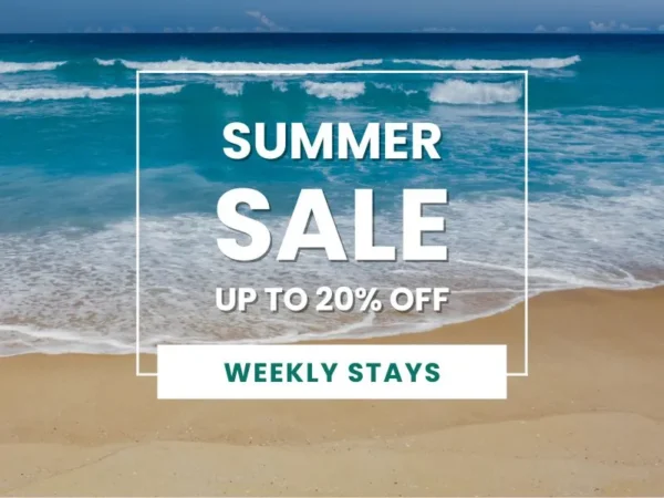 Summer Sale up to 20% OFF