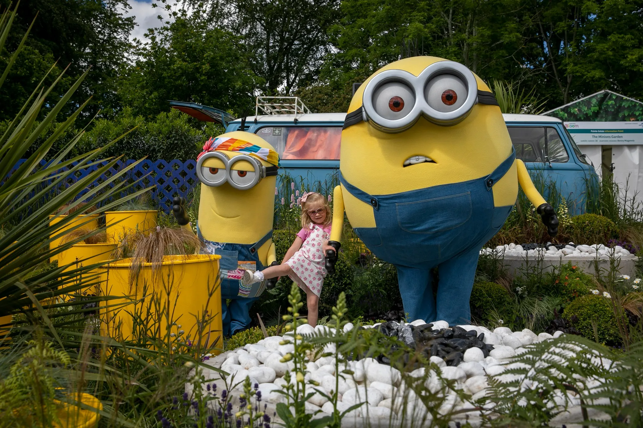 Bord Bia Bloom - Minions