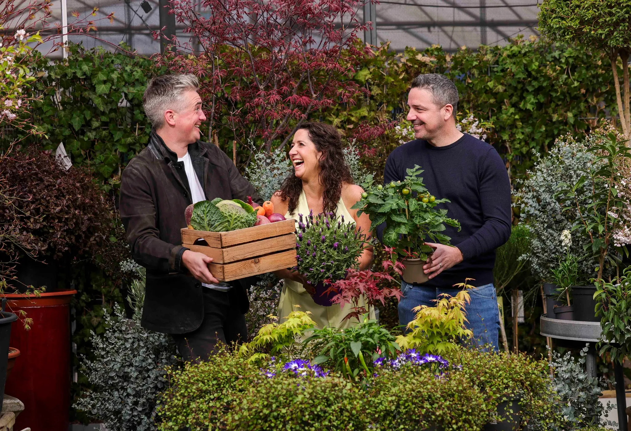 Bord Bia Bloom Sustainability