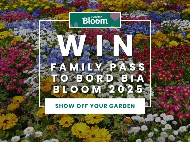 Giveaway - Win FAMILY PASS to Bord Bia Bloom 2025