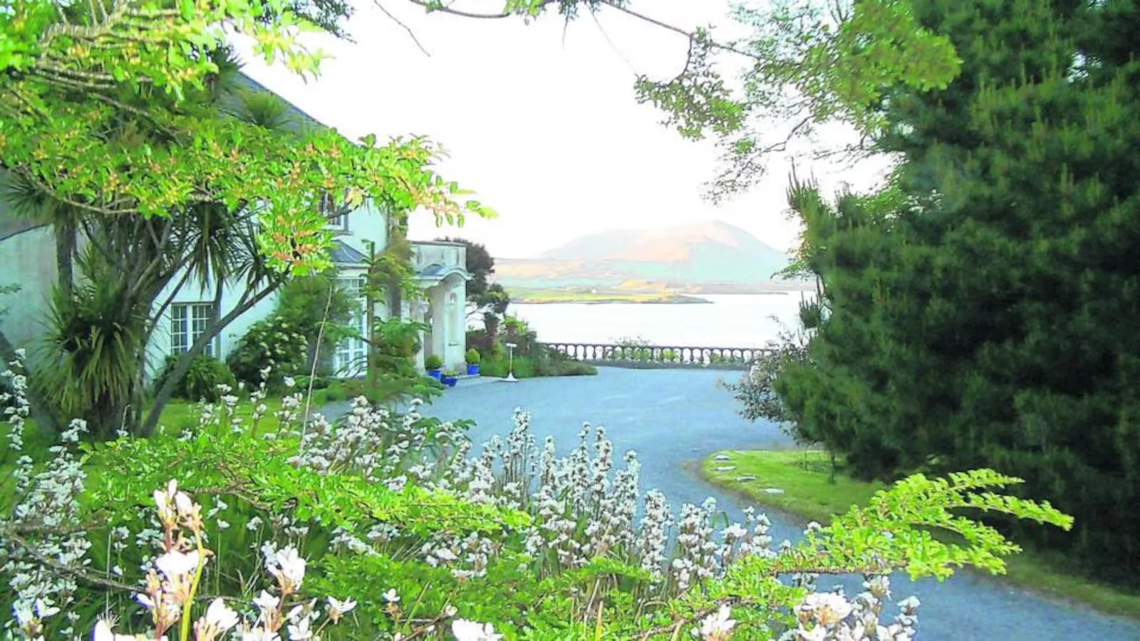 Glanleam House hosts exotic gardens near Knightstown on Valentia Island, Co Kerry - source irishtimes.ie