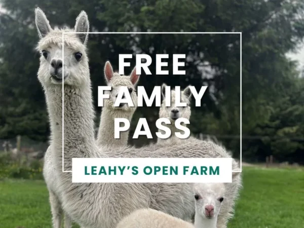 Leahy's Open Farm - Free Family Pass offer for Trident Holiday Homes Guests