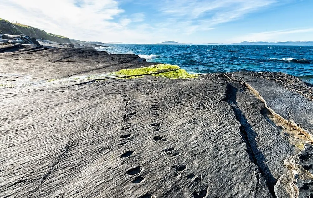 Valentia Island Tetrapod Footprints - photo from https://www.thewildatlanticway.com/