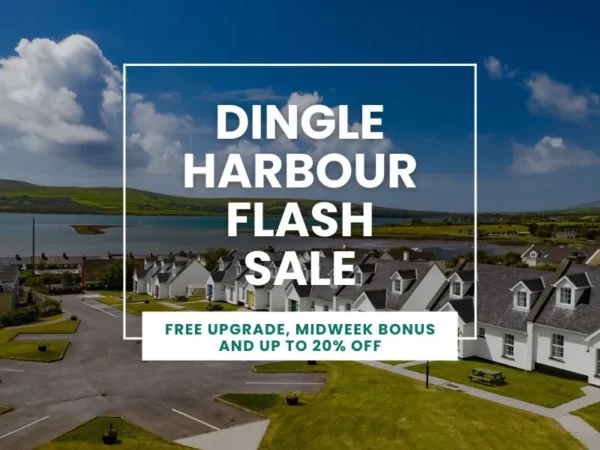 Dingle Harbour Flash Sale