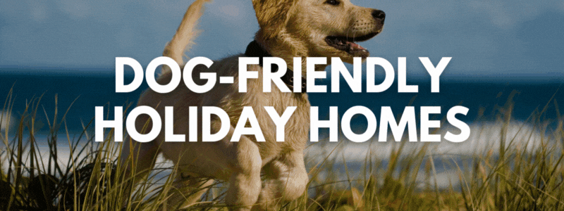 DOG-FRIENDLY HOLIDAY HOMES GIF