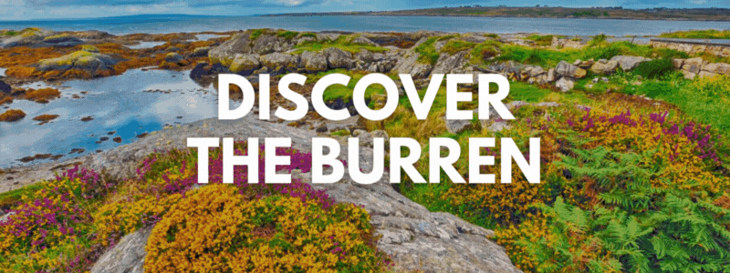 THE BURREN GIF