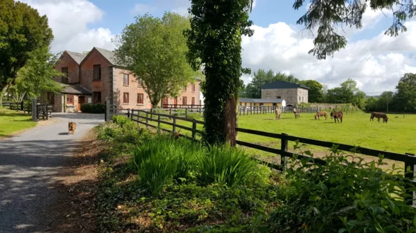 Belline Estate in Piltown, Co. Killkenny
