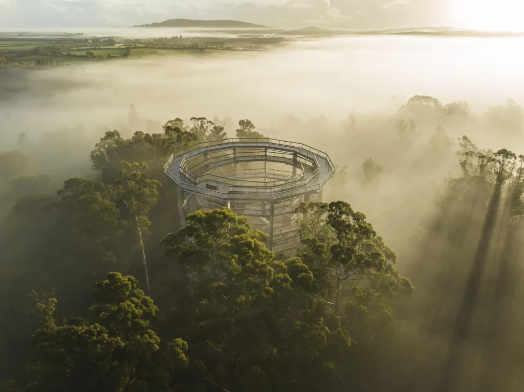 Beyond The Trees Avondale Halloween | Photo from beyondthetreesavondale.com/