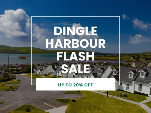 Dingle Harbour Flash Sale - UP TO 20% OFF