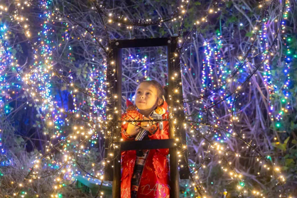 GLOW - powered by Encon - Courtesy Winterval.ie