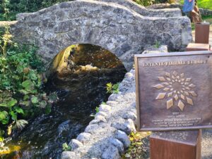 Terryglass Entente Floale Europe - Source- Terryglass Tidy Towns Facebook Page