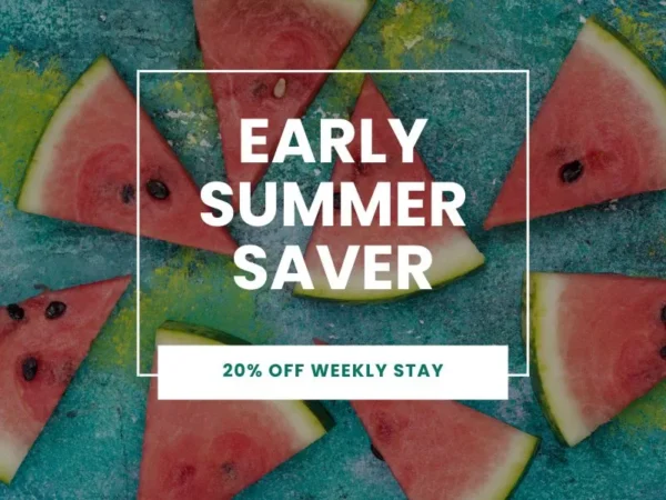 Early Summer Saver - 20% Off