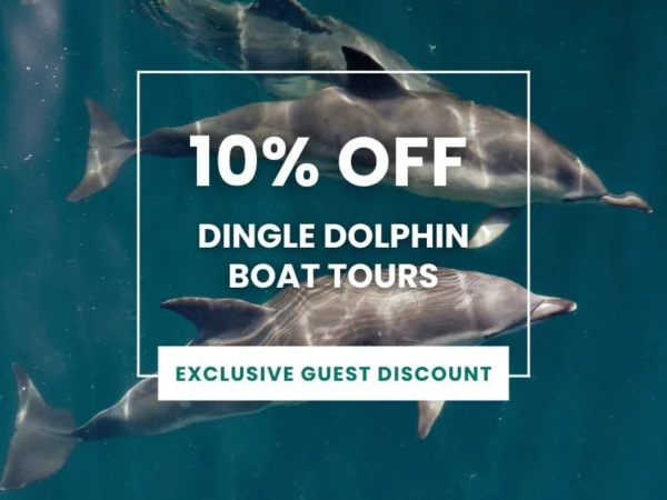 Dingle Dolphin Boat Tours 10% OFF for THH Guests