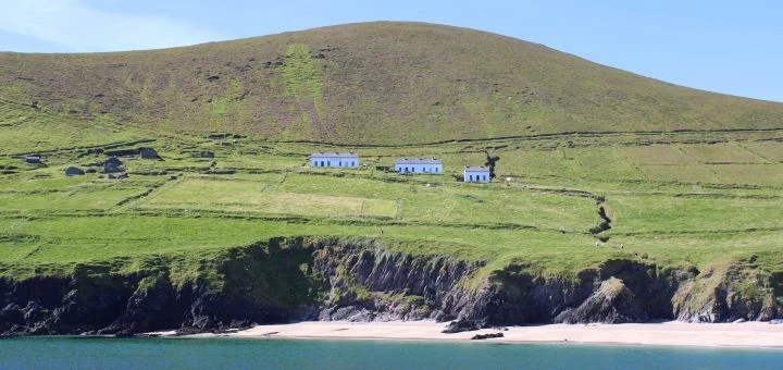 Dingle Dolphin Boat Tours - View of Dingle
