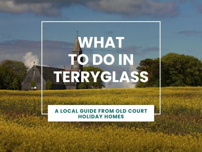 What to Do in Terryglass - A Local Guide from Old Court Holiday Homes