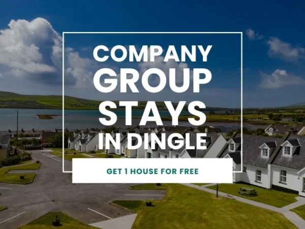 Company Group Stays in Dingle - Get 1 House for free