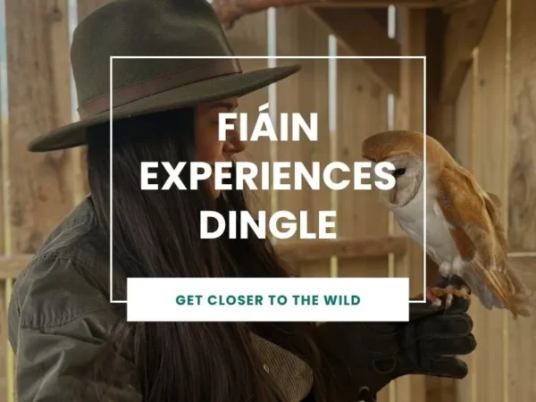 FIÁIN EXPERIENCES DINGLE - GET CLOSER TO THE WILD