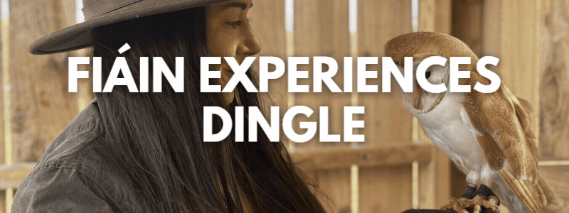 FIÁIN EXPERIENCES DINGLE GIF