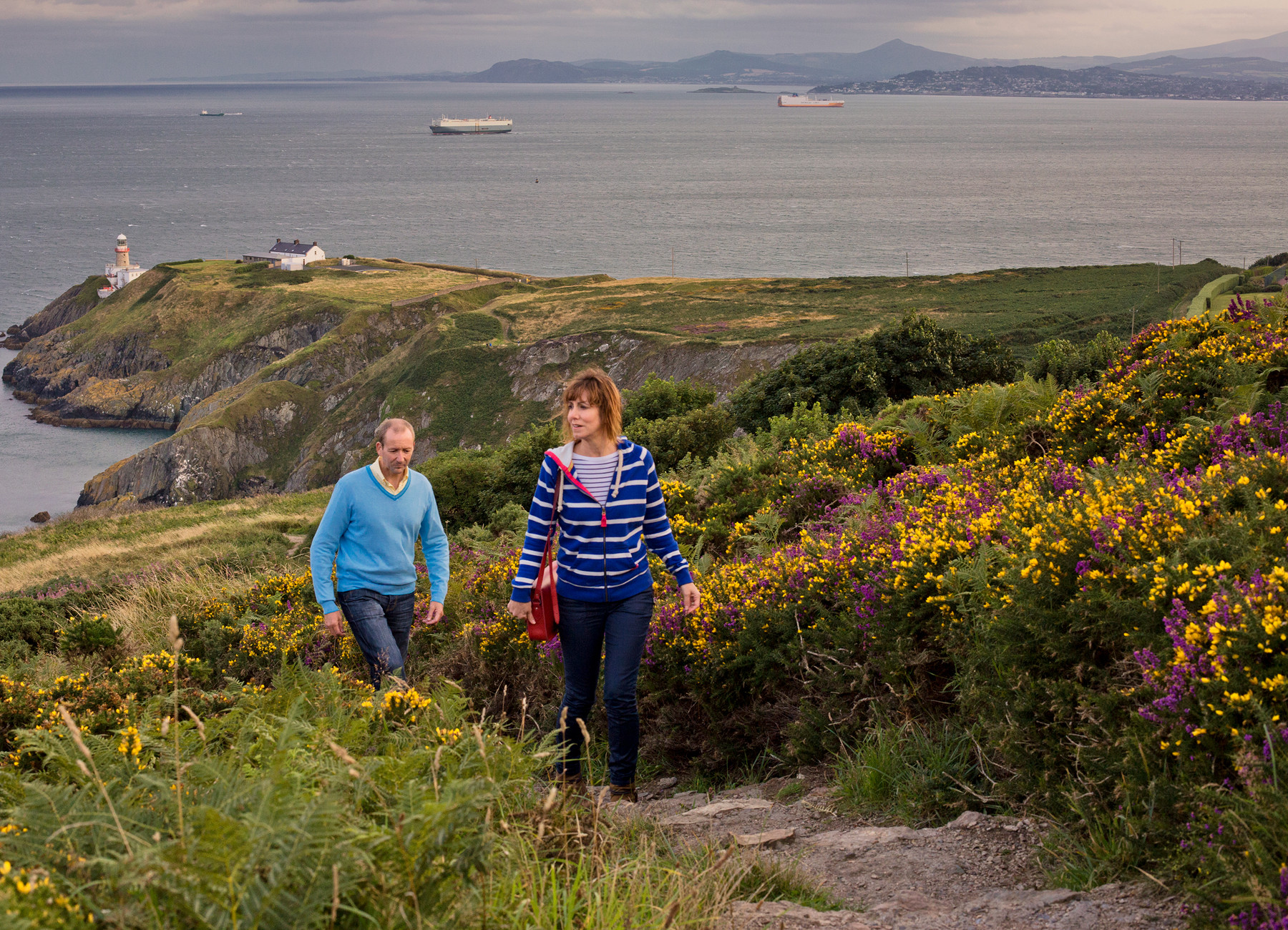 Howth Head, County Dublin © Tourism Ireland Howth Head, County Dublin © Tourism Ireland