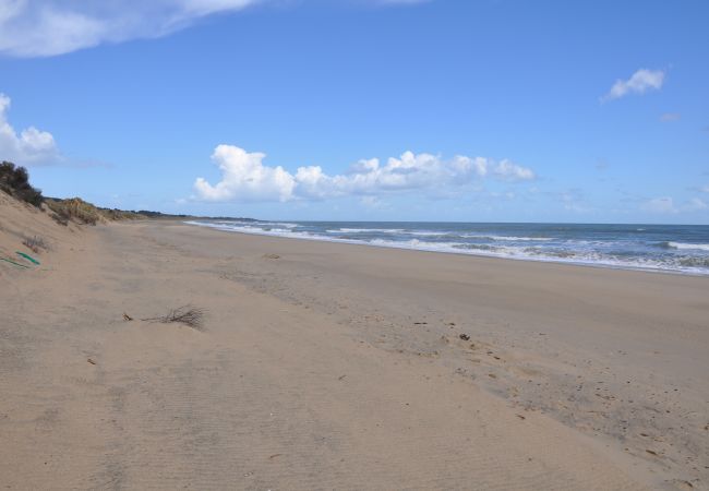 Ardamine Beach Gorey County Wexford Ireland