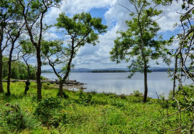 Inchagoill Island, Lough Corrib, Co Galway © Failte Ireland