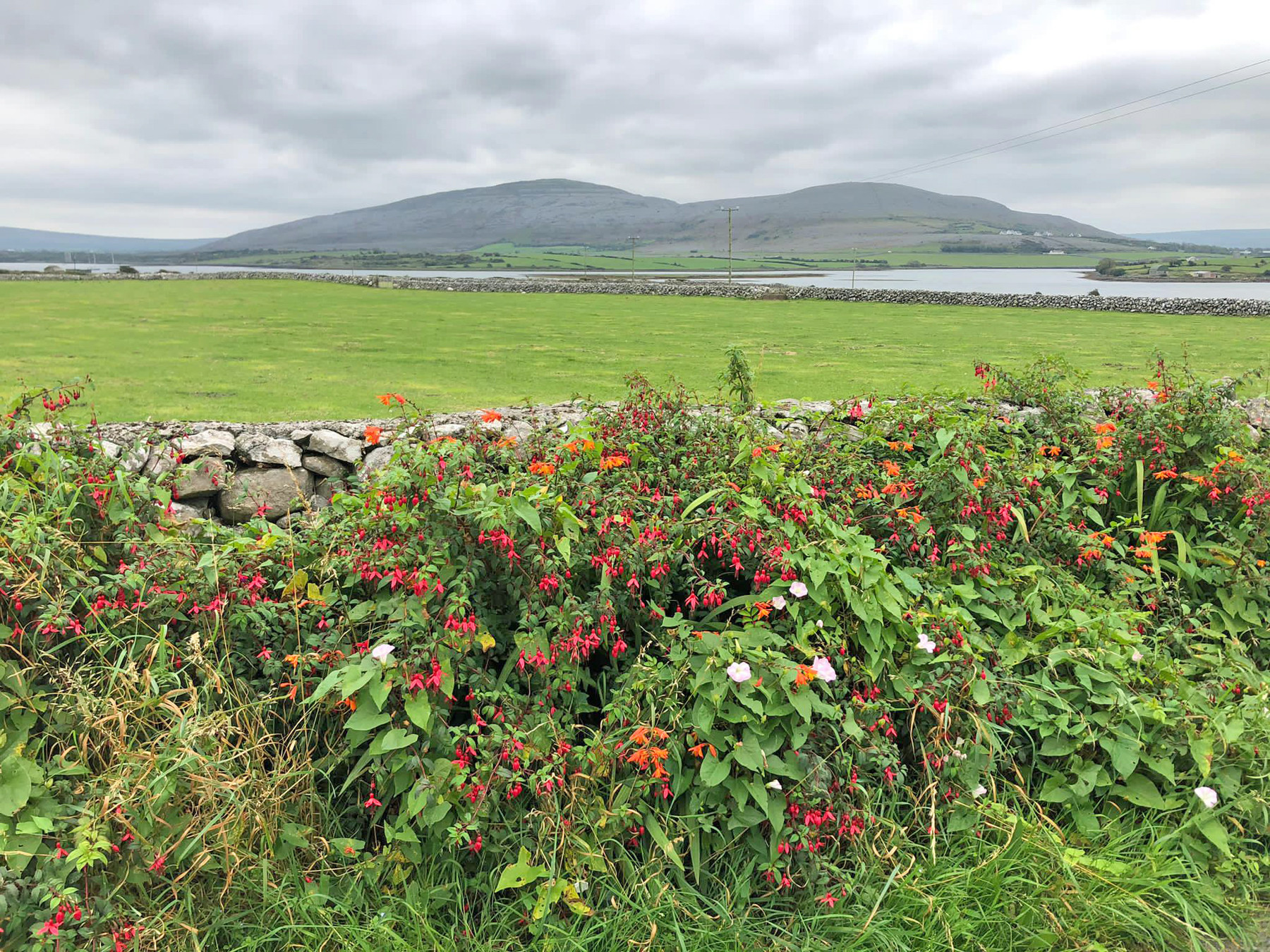 Serene Countryside, The Burren, County Galway