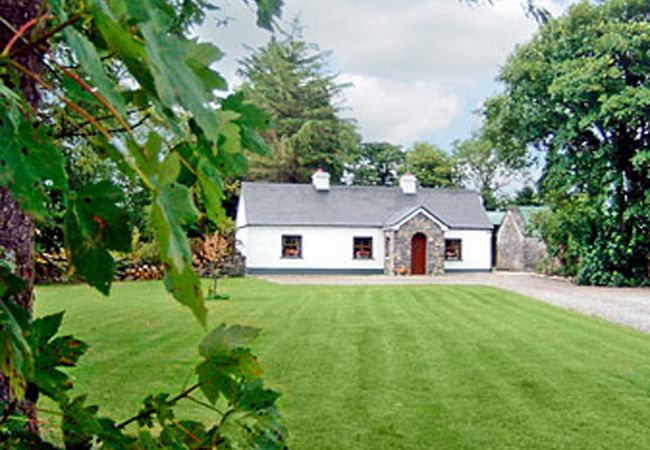 Pretty Holiday Cottage Clydagh Lodge near Castlebar, County Mayo