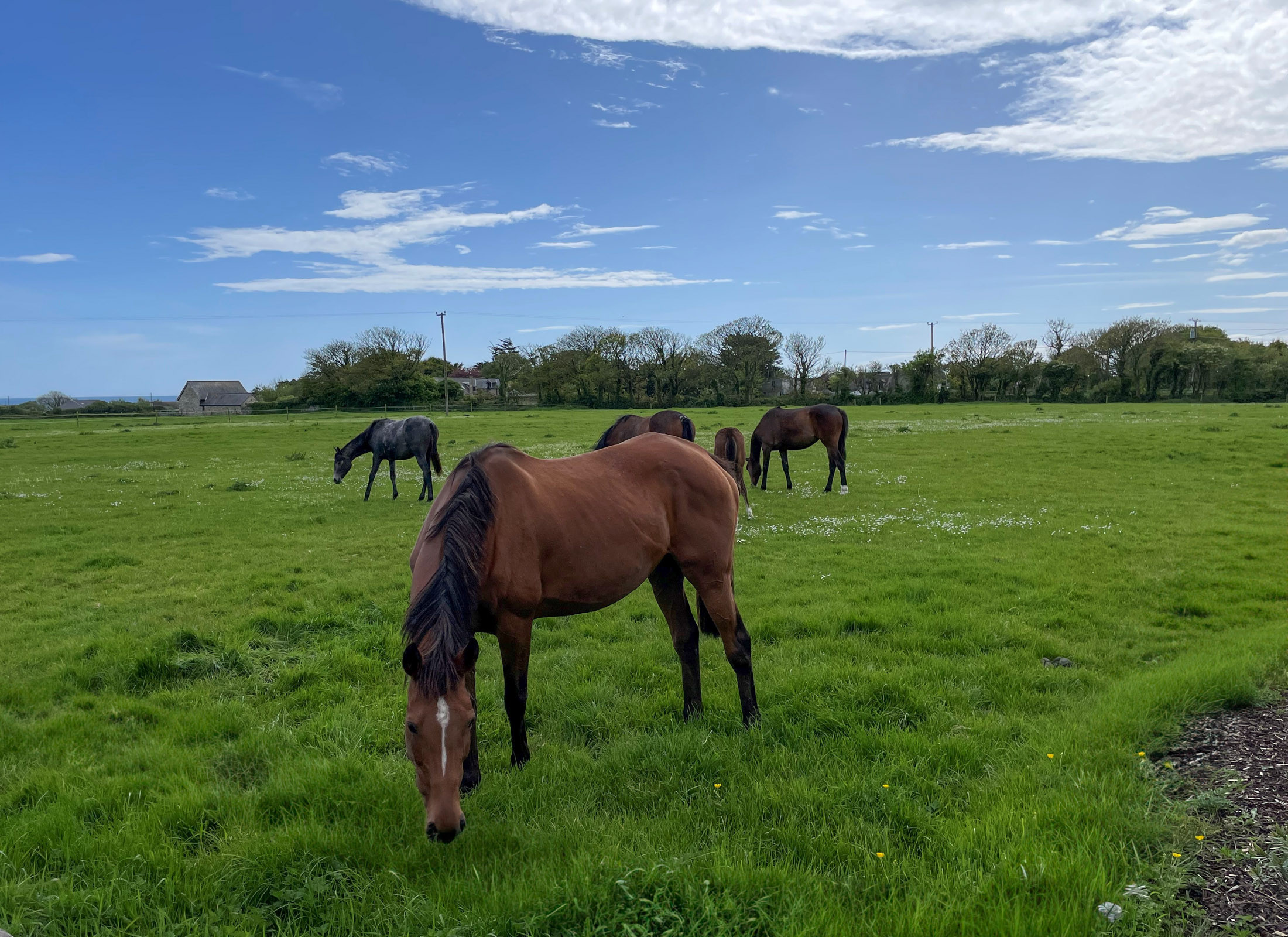 InishHolidayCottageMillRoadFarKilmoreQuayWexford4 InishHolidayCottageMillRoadFarKilmoreQuayWexford4