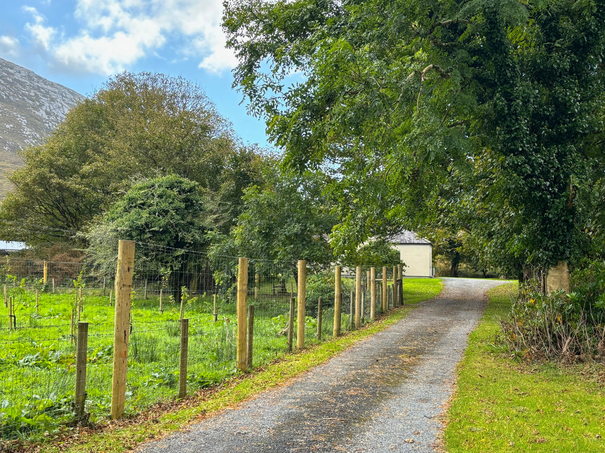 KylemoreWoodlandHolidayApartmentRef473