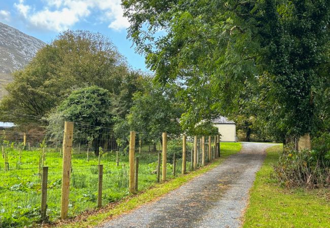 KylemoreWoodlandHolidayApartmentRef473